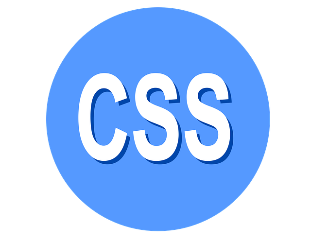 CSS